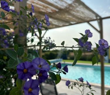 Grandola House | Quinta do Pica-Pau Amarelo