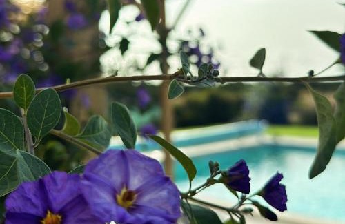 Grandola House | Quinta do Pica-Pau Amarelo