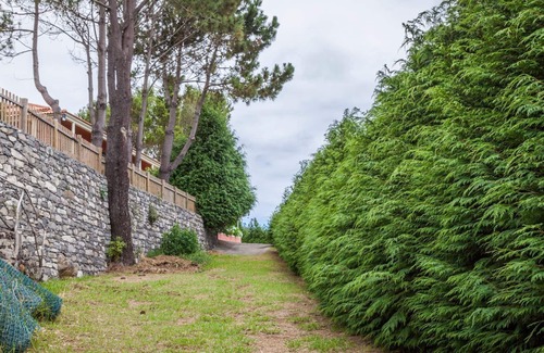 Santa Cruz House | Quinta do Santo by LovelyStay