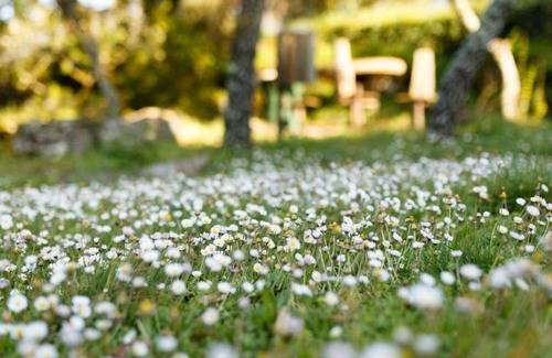 Fatima Villa | Quinta dos Canteiros