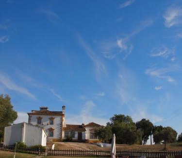 Alpalhao House | Quinta Dos Ribeiros