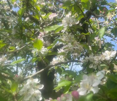 Beco House | Quinta Pura Natura