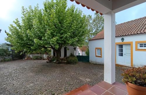 Pereiro da Palhacana Cabin | Quinta Santo António