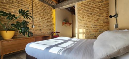 Barrios Unidos House | QUINTA SEIS TRES