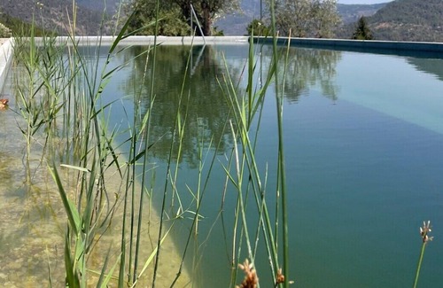 Cotas Other | Quinta Vila Rachel - Winery - Ofélia House