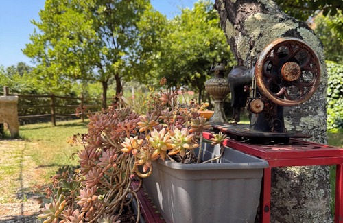 Seia Cottage | Quinta Vale Salgueiro