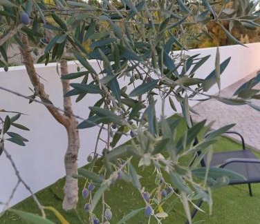 Lousa House | Quintal do Olival- Um refúgio na Natureza