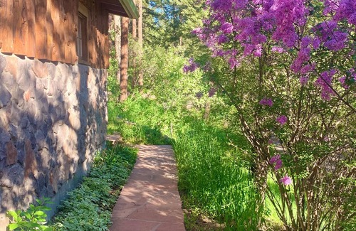 Indian Hills Cabin | Quintessential Colorado Cabin