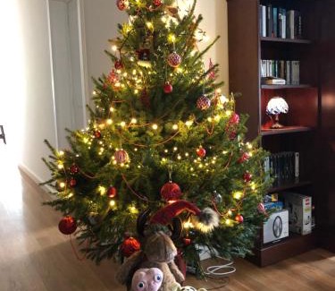 Camacha Villa | Quintinha de Palmyra