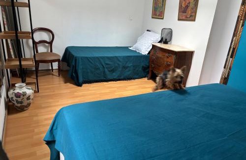 Saint-Philippe Apartment | Résidence L' ALAMANDA
