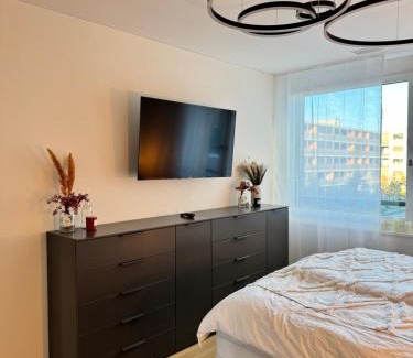 Kaiseraugst Apartment | Römer Apartment