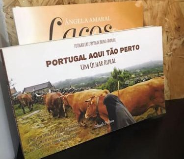 Guarda Apartment | Rústico T1 no centro cidade