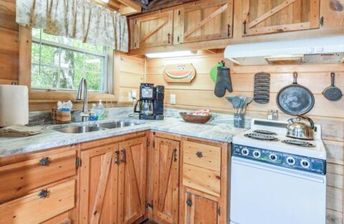 Lake Toxaway Cabin | Raccoon Loft - Secluded Cabin with Fire Pit and Pickleball