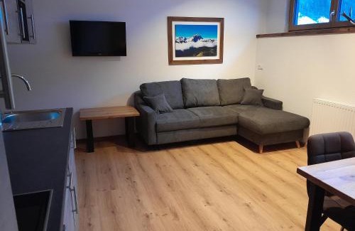 Dorfgastein Apartment | Rainerhof Apartment 4