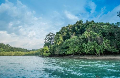 Morong House | Rainforest Nest - CAHAYA, PITI, VIRYA Nest with Self-Service Breakfast, Balcony, Monkeys, Bats!