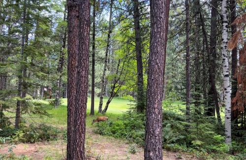 Black Butte Ranch Apartment | Ranch Retreat #30
