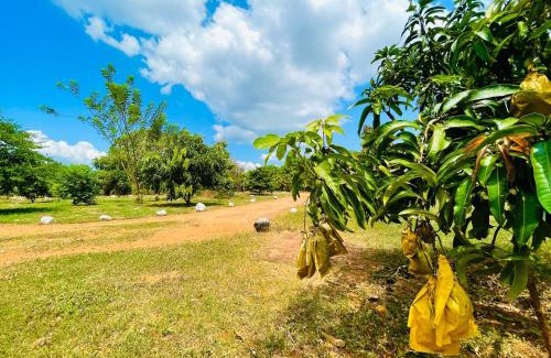 Yodakandiya House | Randunu Resort Yala