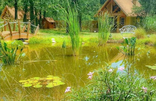 Fredericksburg Cottage | Rapunzel Cottage (#1) .