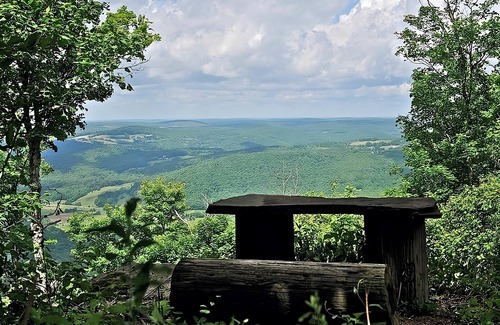 Delhi House | Rare Gem! Hike to the Summit of Bramley Mountain Trail! FREE Parking!