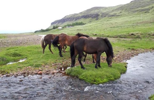 Budardalur Cabin | Ravencliff Lodge