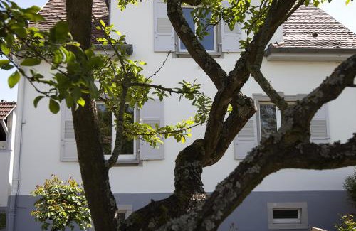 Robertsau House | Ravissant 3P 90m2 au calme, proche du parlement européen