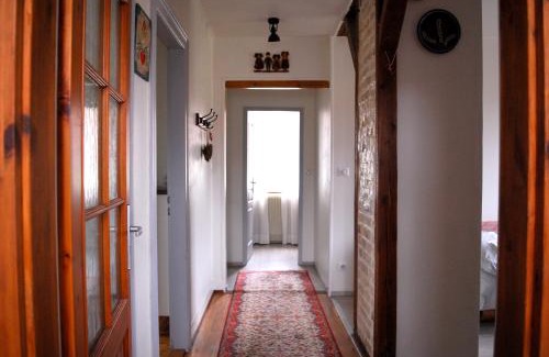 Robertsau House | Ravissant 3P 90m2 au calme, proche du parlement européen