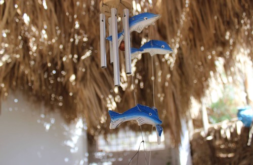 Marsa Alam House | Rayhana Guest House