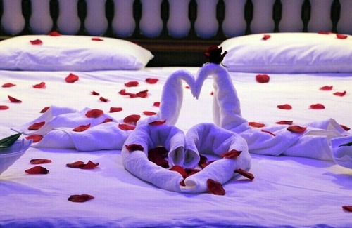 Selcuk House | rebetika hotel located secuk near ephesus (Quadraple Sharing)