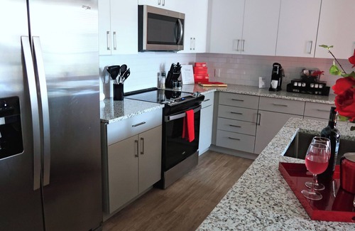 Southside Apartment | Red Rose Serenity 1BD Lux King - Southeast Jax