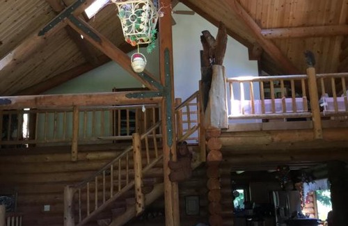 Crescent City House | Redwood forest