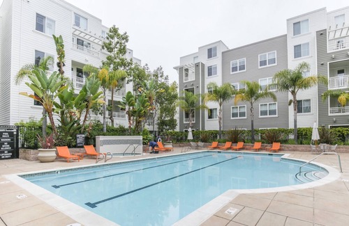 Central San Mateo Apartment | Refined 1BR in Sunny San Mateo