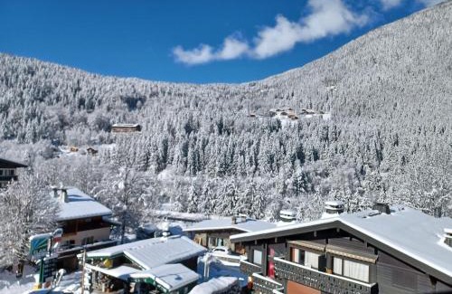 Les Houches Apartment | Refuge des Alpages - Duplex - Vue Aiguillette des Houches