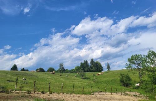 Vama Buzaului House | Refugiul din Vama