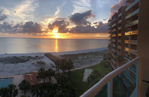Bay Esplanade Condo | Regatta Beach Club C-611 modern oceanfront studio w/private balcony. 3 month min
