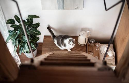 Trichiana House | Relais Incanto - Agriturismo Nel Giardino di Fien