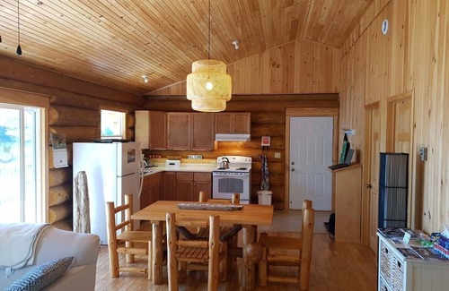 New Elm Cottage | Relax In Canada: A Lakeside Log Cottage Near Kejimkujik National Park