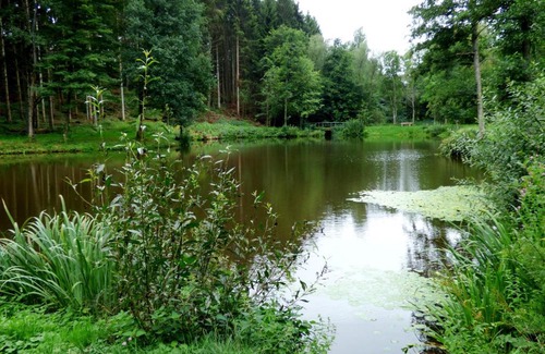 Ohlenhard Apartment | Relaxen am Rosenbusch