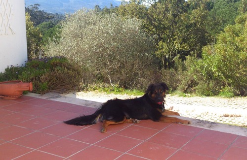 Setubal Apartment | Relaxing break near Lisbon