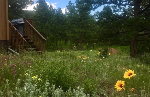 Lyons House | Relaxing Mountain Get-away, Close To Estes Park & Rocky Mountain National Park