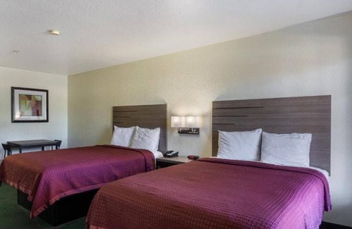 San Antonio Hotel | Relaxing Unit Near SeaWorld and Six Flags + Free Parking