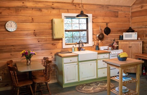 Clayton Cabin | Remote cabin with creek and waterfall views 10 min from town