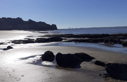 Saint-Georges-de-Didonne Apartment | Renovated studio 150m from the beach with bikes and pets allowed