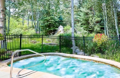 Snowmass Village Condo | Renovated 2 BR *TRUE Ski-in/Ski-out*