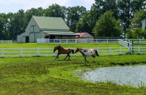 Perrysville Apartment | Renovated Bunkhouse on 12-Acre Horse Farm!