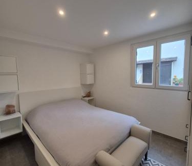 Gaillard Apartment | Renovated farmhouse apartment - Swiss border