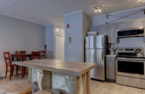 Bartlett Apartment | Renovated Studio, Hiking, Swim, Saco River, North Conway, Mt. Washington Valley