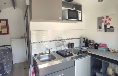 Sainte-Croix-en-Plaine Ski Chalet | Rent fully equipped gite 20 square meters with terrace and shared pool access