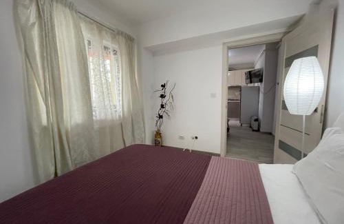 Iasi Apartment | Renting Solutions Iulius Mall
