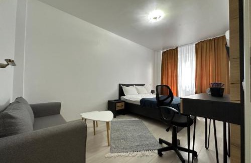 Iasi Apartment | Renting Solutions Studio