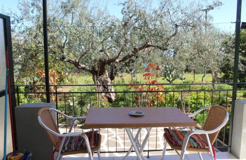 Poulithra Apartment | Rentoulia Apartments